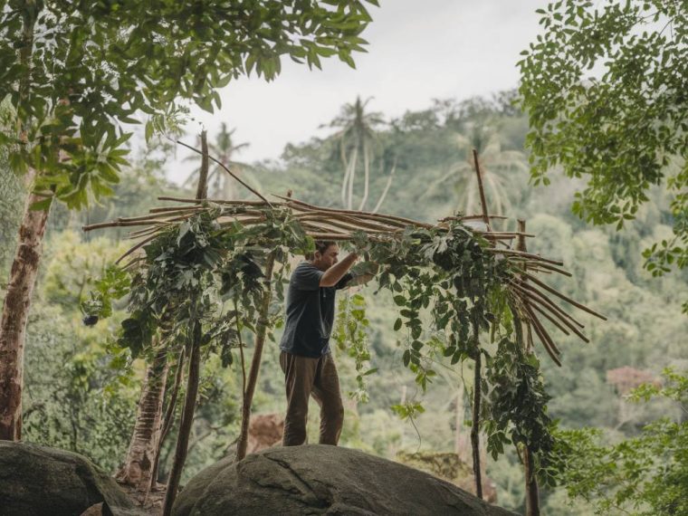 Building a shelter in the wild: techniques for survival