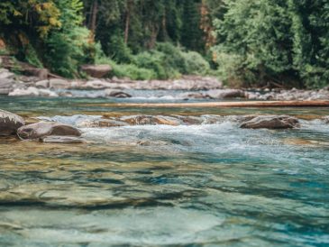 How to find safe water sources during wilderness travel