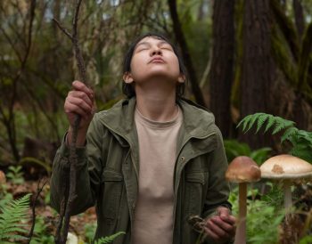 Wild foraging: identifying edible plants in the wilderness